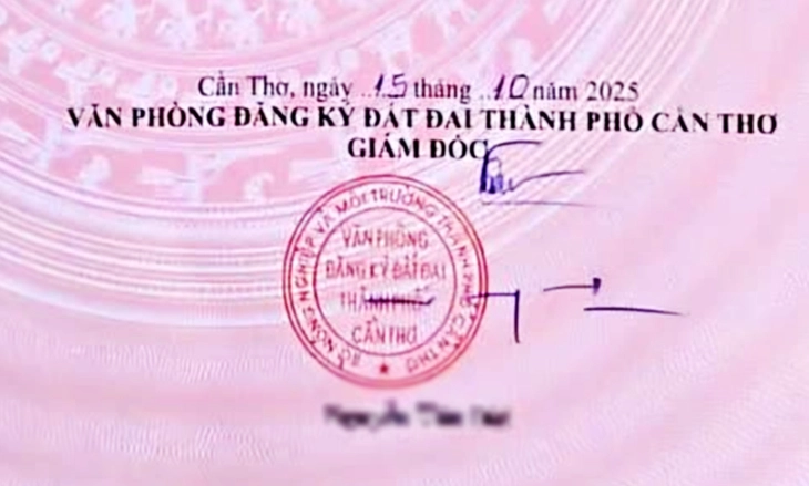 Chữ ký của giám đốc toàn nét gạch ngang dọc có ảnh hưởng đến tính pháp lý của giấy chủ quyền? - Ảnh 1.