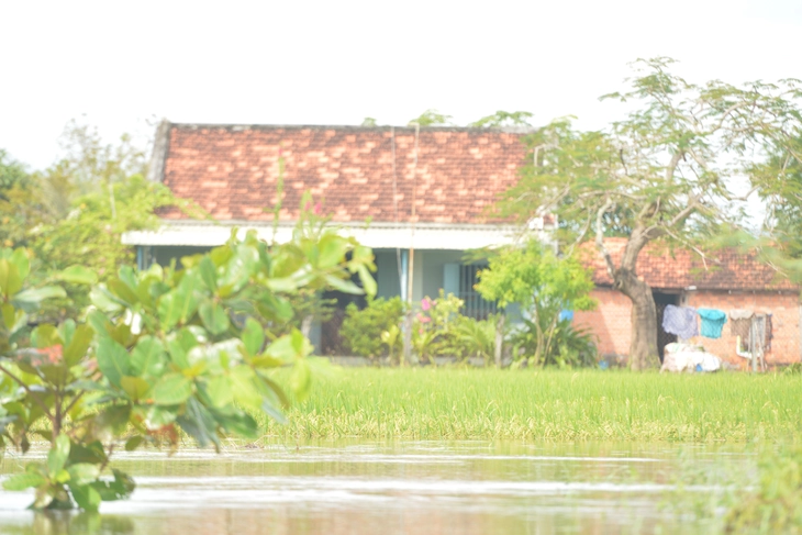 Ngập lụt liên miên ở Bình Thuận cũ, thủy lợi nói xả lũ đúng quy trình, dân không biết kêu ai- Ảnh 3.