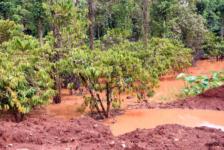 cầu Mã Đà - Ảnh 21.