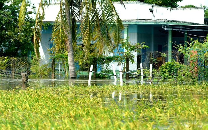 Diễn biến trái quy luật khiến điện thừa mứa, đồng loạt giảm cả thủy điện, điện gió, điện than - Ảnh 2.