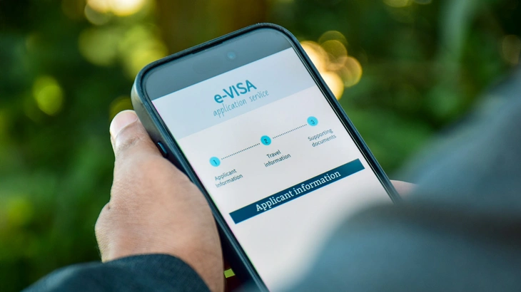 eVisa - Ảnh 1.