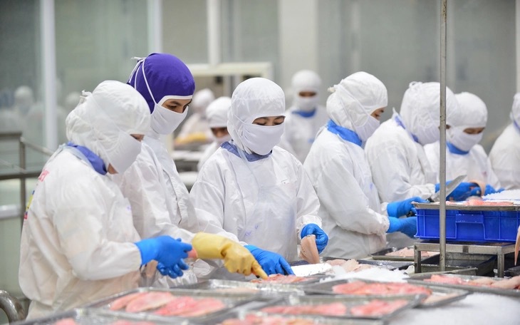 Xuất khẩu tôm vượt 2,3 tỉ USD - Ảnh 2.