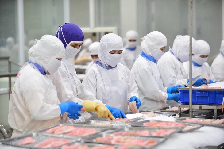 Lo xuất khẩu thủy sản chững lại cuối năm - Ảnh 1.