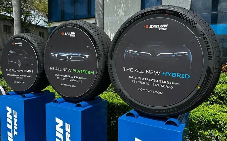 CEO Hyundai: 'Doanh số xe hybrid sẽ vượt xe điện trong vài năm tới' - Ảnh 4.