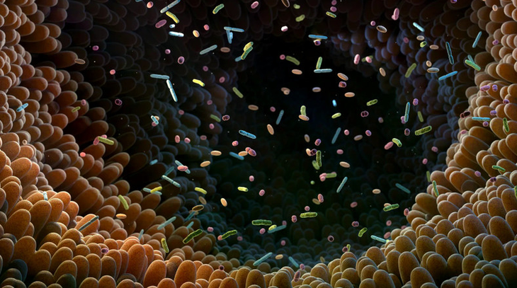 Nhà nghiên cứu Việt dùng AI 'giải mã' vi khuẩn đường ruột - Ảnh 1.