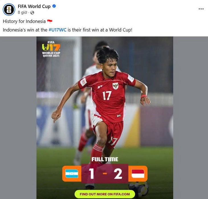 indonesia - Ảnh 2.