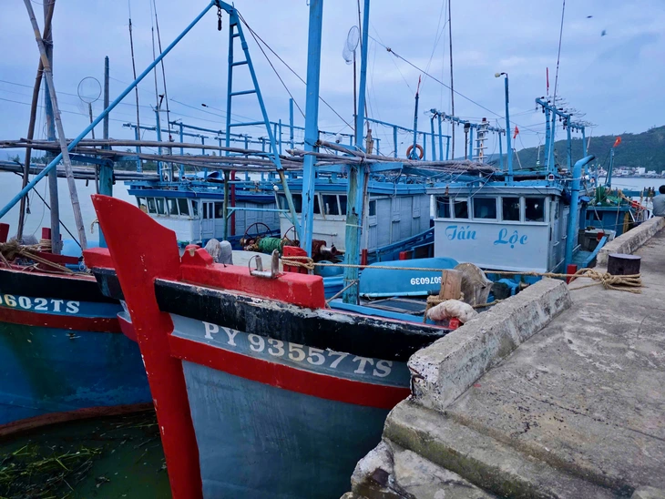 Tàu cá gãy láp, trôi trên biển sau bão số 13, thuyền trưởng vẫn cứu 2 ngư dân bị sóng dữ cuốn- Ảnh 4. ngư dân - Ảnh 3.