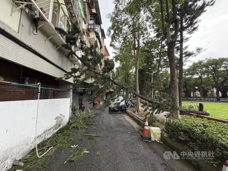 Bão Phượng Hoàng - Ảnh 7.