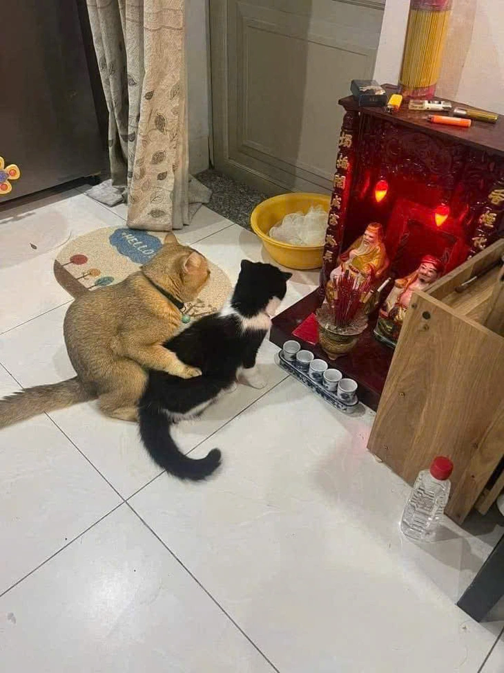 Thổ Địa - Ảnh 1.