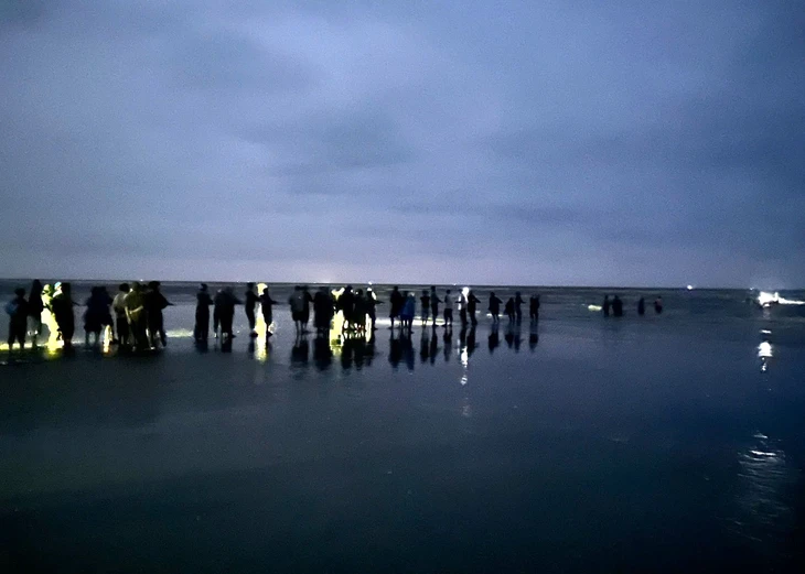 mất tích - Ảnh 1.