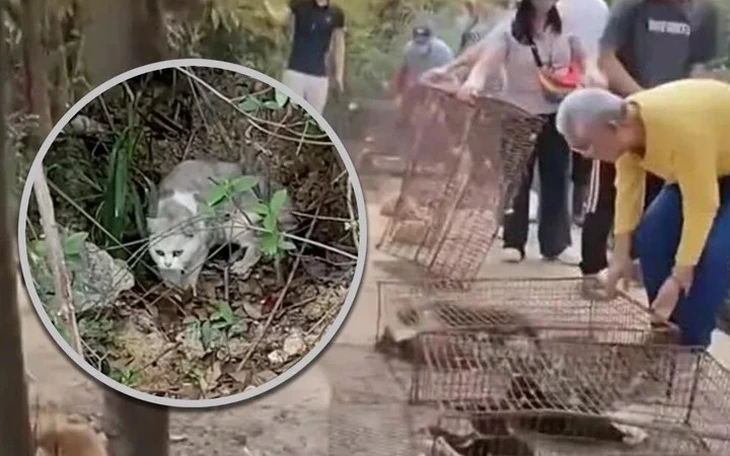 Chi 15 tỉ đồng để tiêm 10.000 liều axit tạo cơ bụng 8 múi - Ảnh 3.