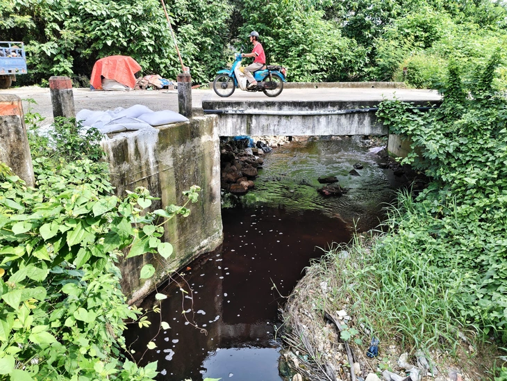 Yêu cầu xử lý dứt điểm nước rỉ từ bãi rác gây ô nhiễm khu dân cư ở Nha Trang- Ảnh 1. Yêu cầu xử lý dứt điểm nước rỉ từ bãi rác gây ô nhiễm khu dân cư ở Nha Trang- Ảnh 1.