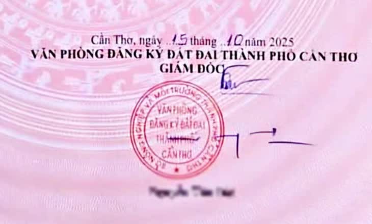 Chữ ký phải đẹp, phải khác nét gạch, không thể toàn nét ngang nét dọc? - Ảnh 1.