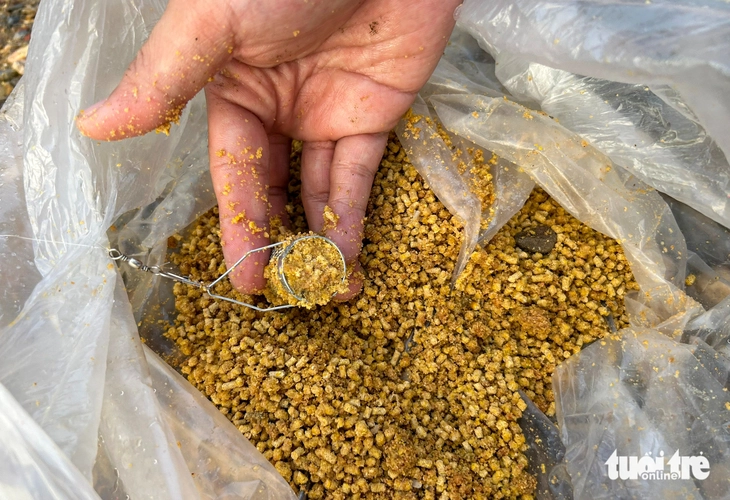 cá suối - Ảnh 2.