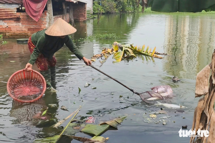 Vĩnh Lộc - Ảnh 2.