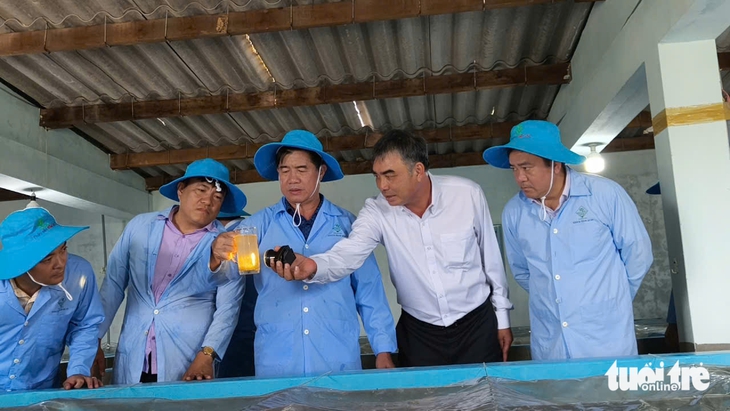 Đắk Lắk đẩy mạnh chống khai thác IUU, hướng đến nghề biển bền vững- Ảnh 1. Đắk Lắk đẩy mạnh chống khai thác IUU, hướng đến nghề biển bền vững - Ảnh 1.