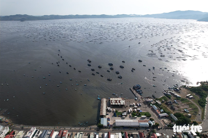 Đắk Lắk đẩy mạnh chống khai thác IUU, hướng đến nghề biển bền vững- Ảnh 3. Đắk Lắk đẩy mạnh chống khai thác IUU, hướng đến nghề biển bền vững - Ảnh 3.