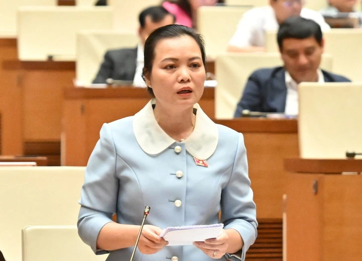 Quốc hội - Ảnh 1.