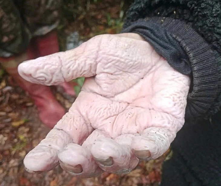 lạc rừng - Ảnh 1.