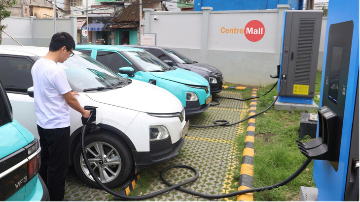 xanh hóa  - Ảnh 2.