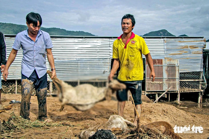 Khởi tố vụ án vỡ hồ chứa nước làm chết người ở Tuy Phong - Ảnh 1.