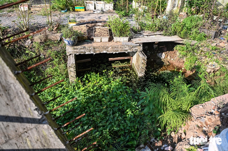 mở rộng - Ảnh 10.