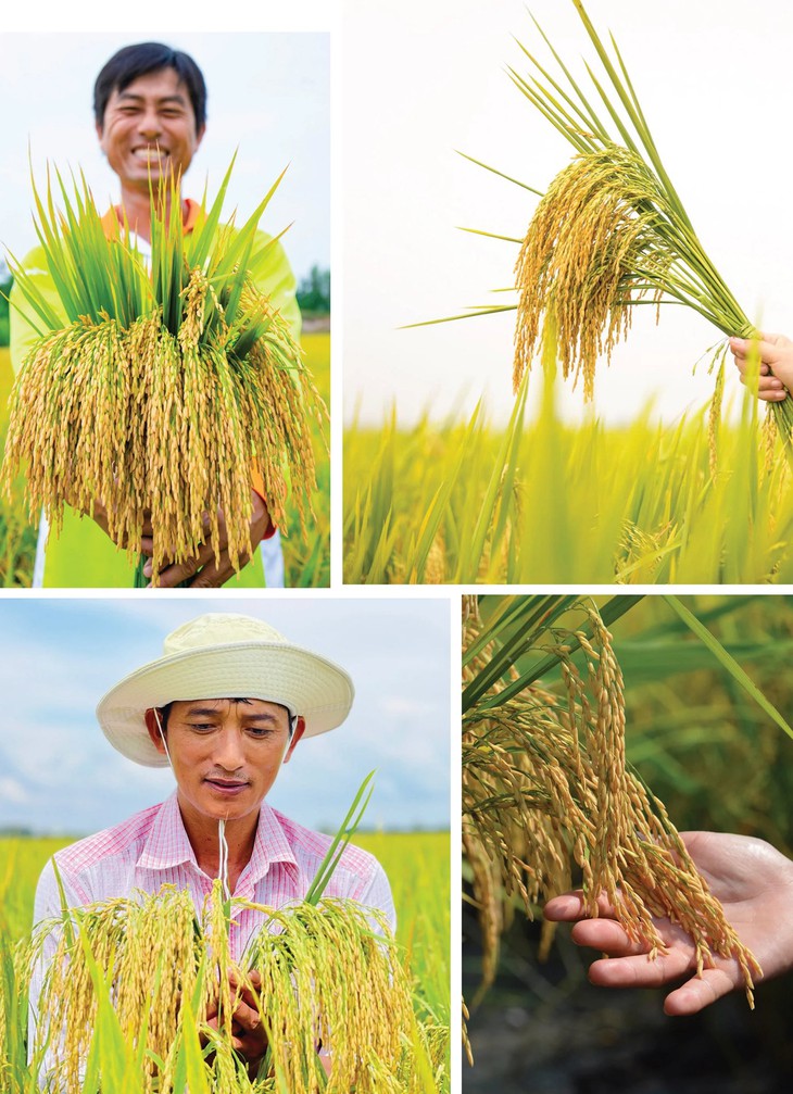 nông nghiệp - Ảnh 5.