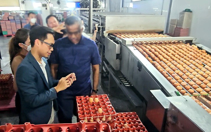 Công ty Ba Huân nợ hơn 600 tỉ đồng, ngân hàng xiết nợ hàng chục 'dãy chuồng gà' - Ảnh 2.