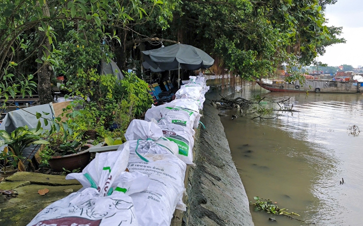 Nhà vườn trồng sầu riêng bị thiệt hại do lũ, triều cường được hỗ trợ bao nhiêu tiền? - Ảnh 2.