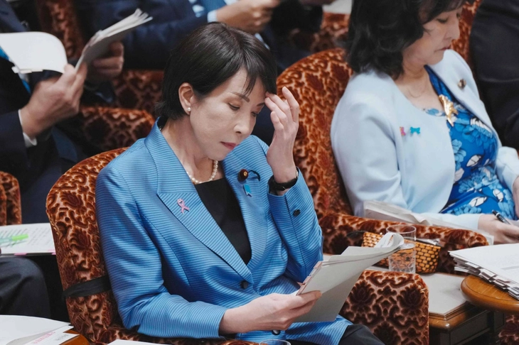 Nhật Bản - Ảnh 1.