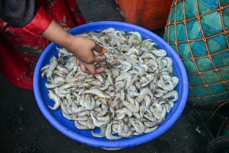 Hàng loạt lô tôm đông lạnh, giày thể thao từ Indonesia bị phát hiện nhiễm phóng xạ tại Mỹ và châu Âu - Ảnh 1. phóng xạ - Ảnh 1.