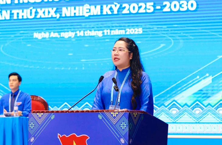 tỉnh đoàn - Ảnh 1.