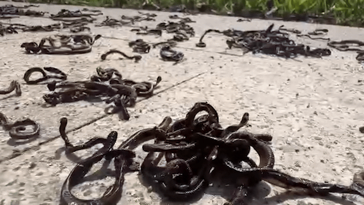 trụ cầu - Ảnh 3.