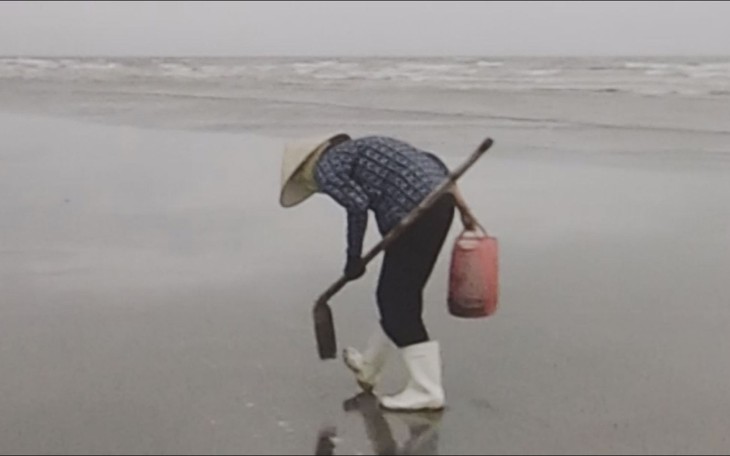 Cuộc thi Lan tỏa năng lượng tích cực 2025: Đi để hiểu – Hiểu để yêu - Ảnh 2.