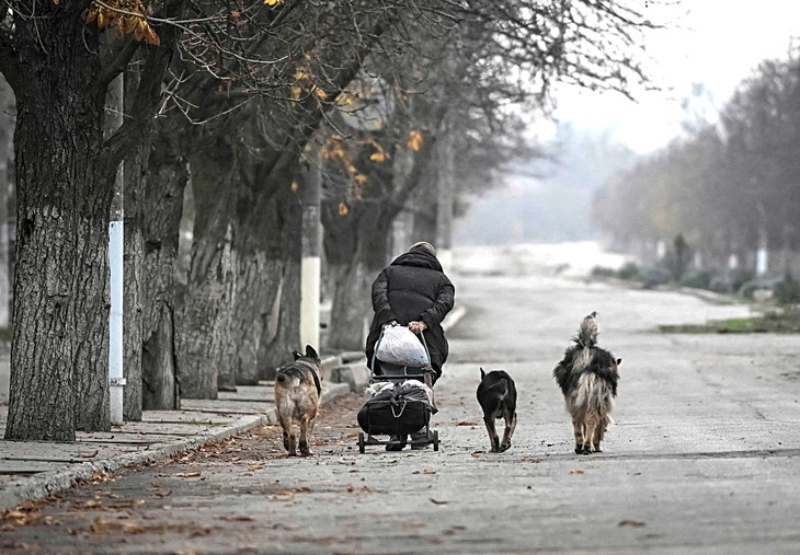 Ukraine tiến thoái lưỡng nan - Ảnh 1. Ukraine - Ảnh 1.