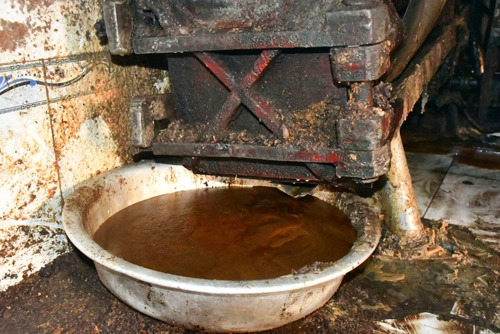 mỡ động vật - Ảnh 3.