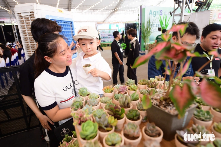 sống xanh - Ảnh 4.