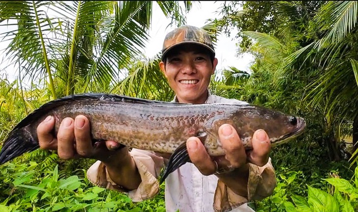 Dân miền Tây cười sảng khoái vì đặt lờ, kéo lưới rùng mùa nước nổi dính nhiều cá đồng - Ảnh 6.