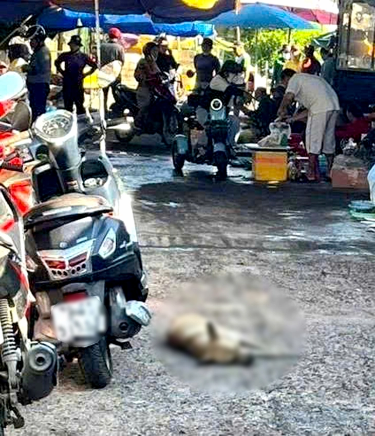 Chó hoang nghi bị bệnh dại liên tục cắn 8 người - Ảnh 1.