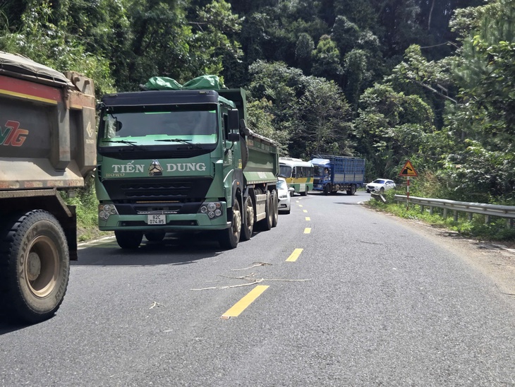 măng đen - Ảnh 4.