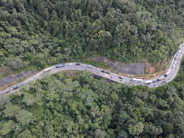 măng đen - Ảnh 3.