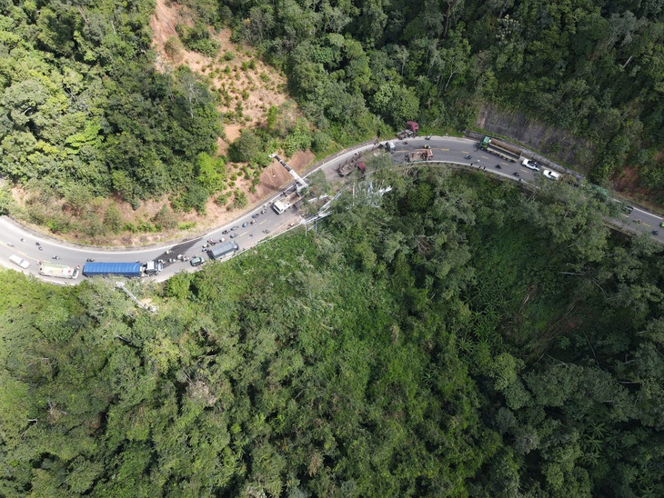 măng đen - Ảnh 1.