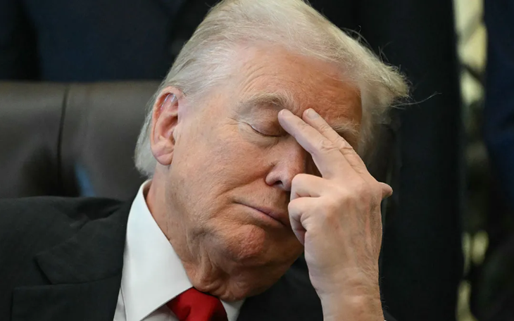 Thụy Điển rải 'loại muối thực vật mới' lên đường vào mùa đông để chống trơn trượt và cho chim ăn? - Ảnh 2.