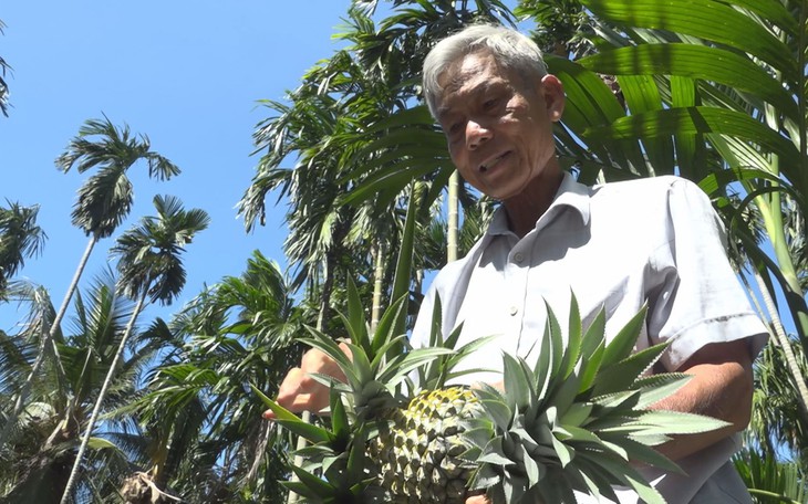 Cuộc thi Lan tỏa năng lượng tích cực 2025: Hợp tác xã cùng bà con làm giàu - Ảnh 2.