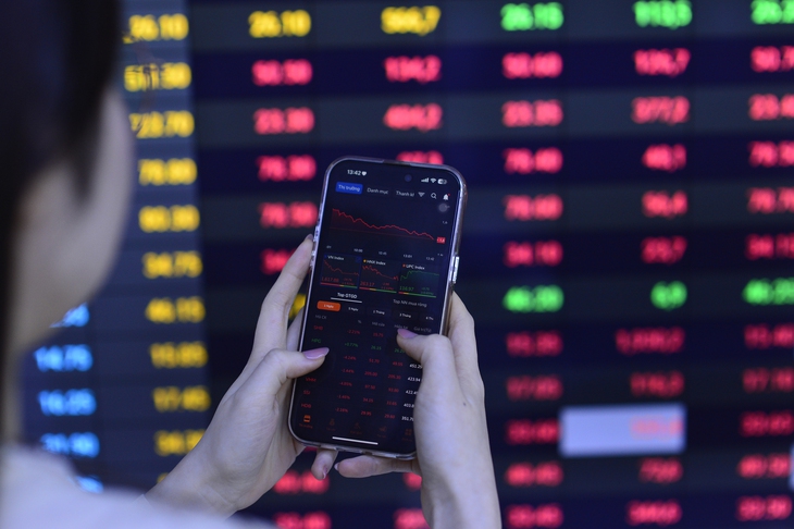 Phát hiện 2 phụ nữ dùng 19 tài khoản thao túng thị trường chứng khoán - Ảnh 1.