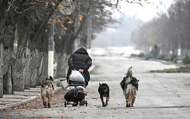 Tin tức thế giới 16-11: Ukraine cải tổ ngành năng lượng đầy tham nhũng - Ảnh 2.