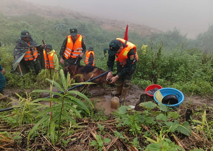 sạt lở - Ảnh 5.