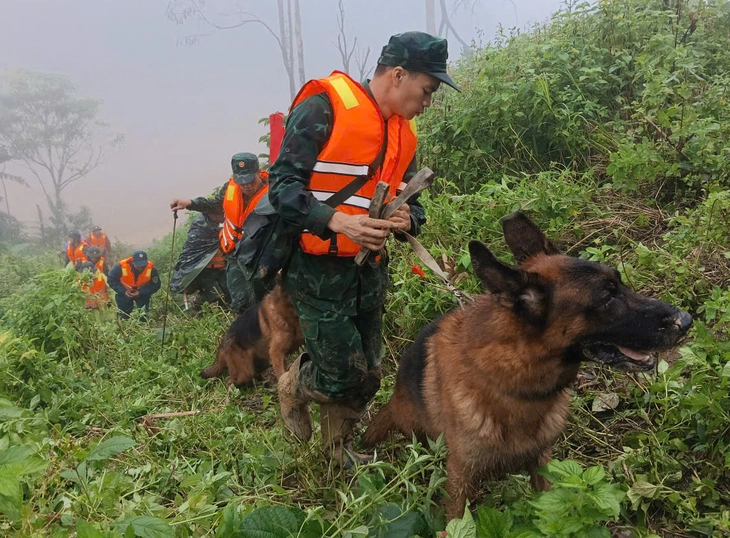 sạt lở - Ảnh 6.
