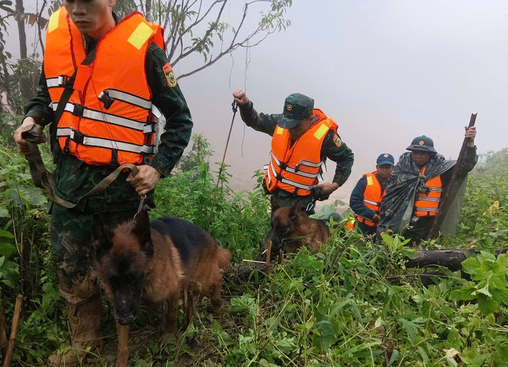 sạt lở - Ảnh 7.