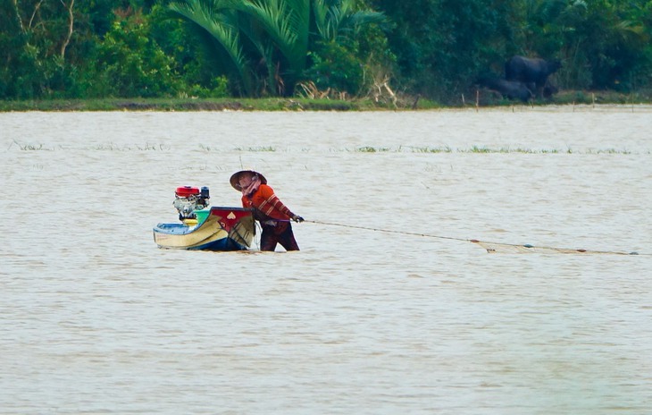 Dân miền Tây cười sảng khoái vì đặt lờ, kéo lưới rùng mùa nước nổi dính nhiều cá đồng - Ảnh 4.